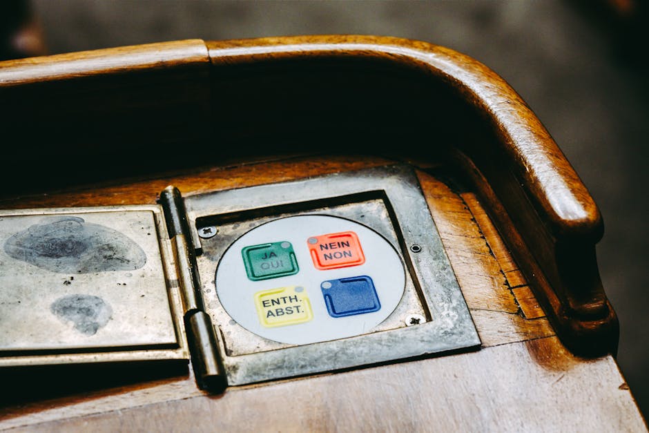 Курсы программирования и UI/UX дизайна