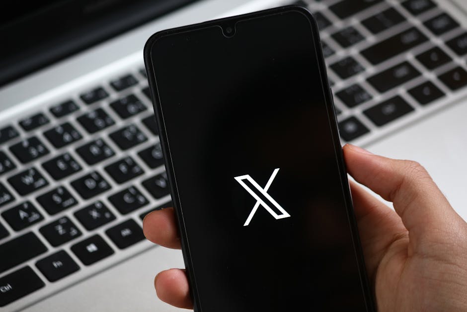 Курсы программирования и UI/UX дизайна